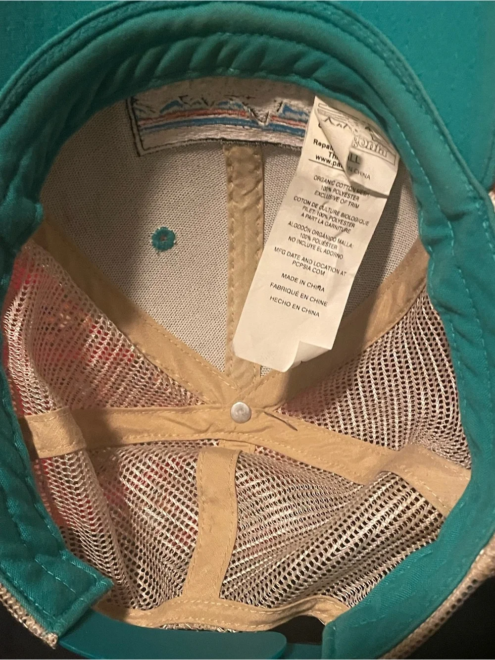 Patagonia Light Blue Baseball Cap